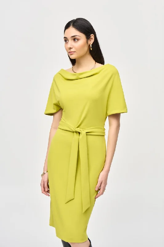 Mermaid - Style Women Dress with a Fitted Silhouette for Special Occasions Mermaid - Style Women Dress with a Fitted Silhouette for Special Occasions Joseph Ribkoff Scuba Crepe Belted Sheath Dress